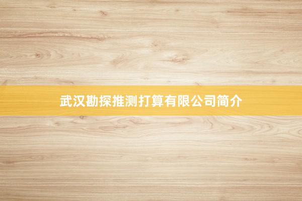 武汉勘探推测打算有限公司简介