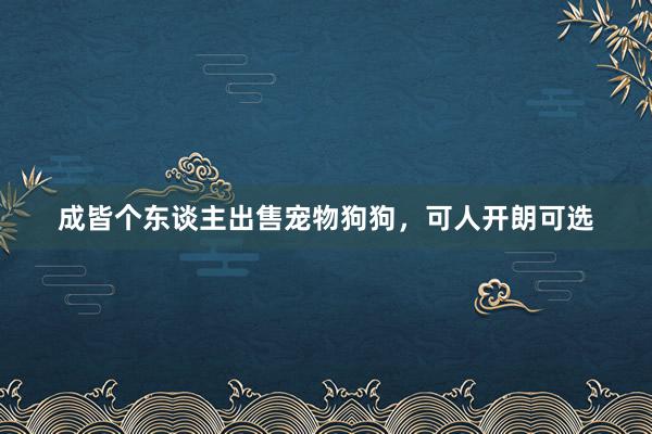 成皆个东谈主出售宠物狗狗，可人开朗可选